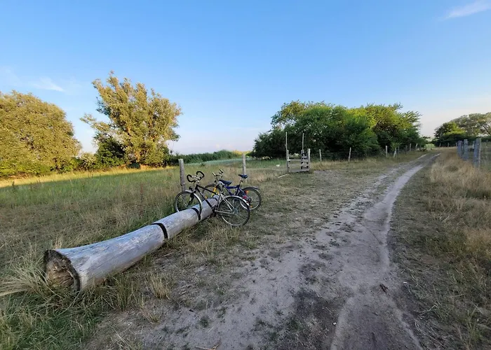 Usedom Familie Stopp Haus 23